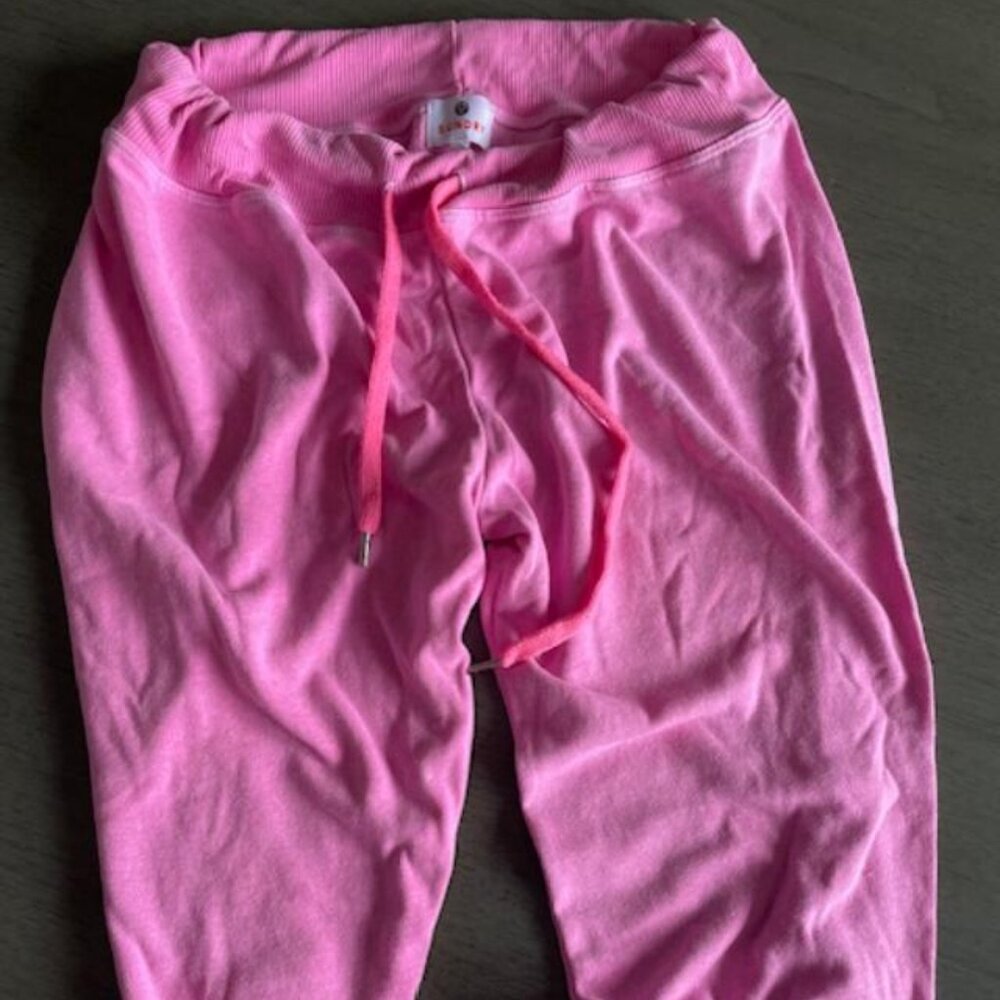 Sundry Sweatpants